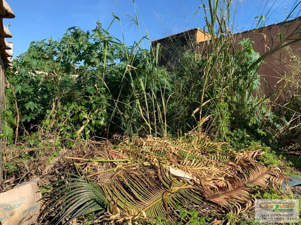 Terreno, 270 m² - Foto 2
