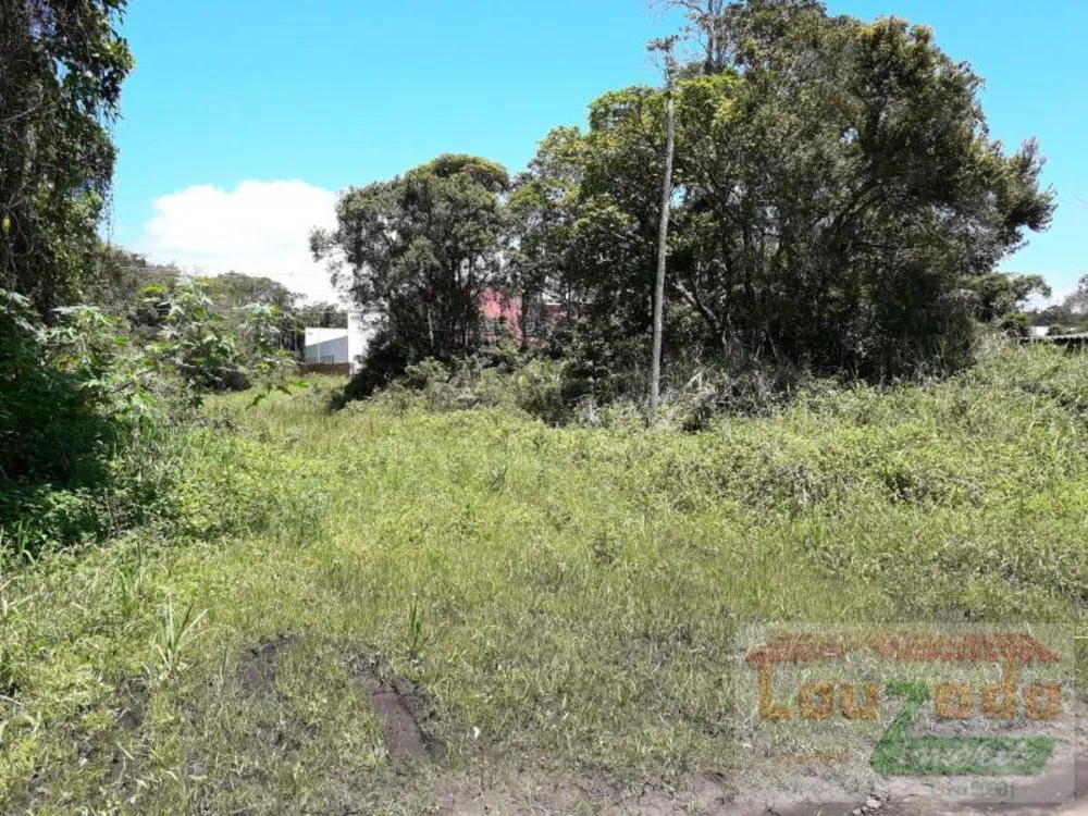 Terreno, 274 m² - Foto 6