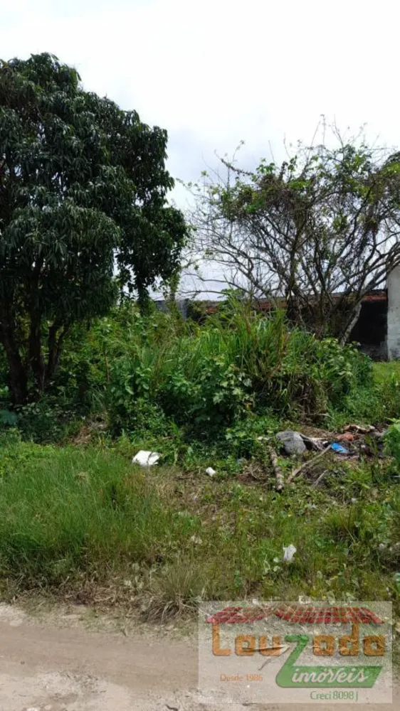Terreno, 300 m² - Foto 3