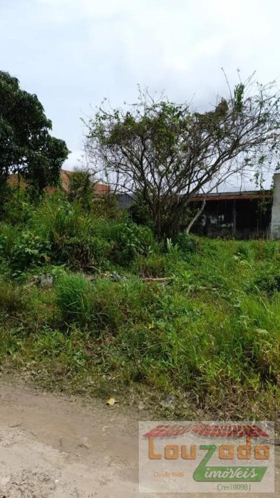 Terreno, 300 m² - Foto 1