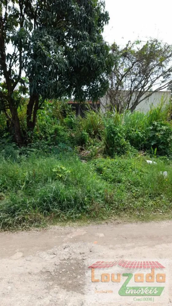 Terreno, 300 m² - Foto 2
