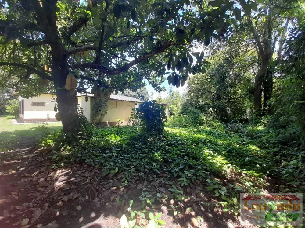 Terreno, 1200 m² - Foto 3