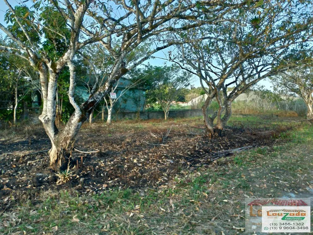 Terreno, 252 m² - Foto 5