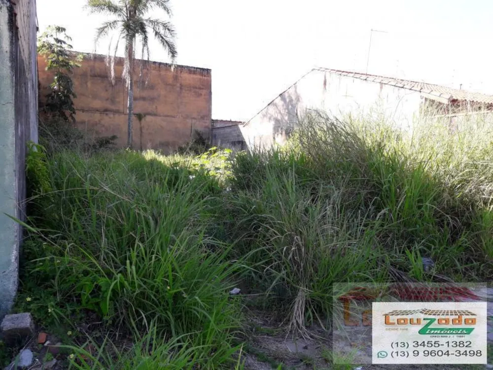 Terreno, 300 m² - Foto 5