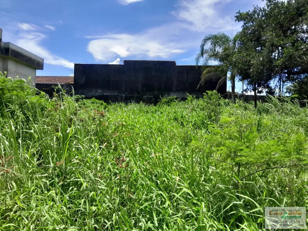 Terreno, 250 m² - Foto 4