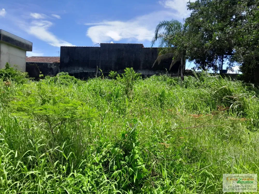 Terreno, 250 m² - Foto 1