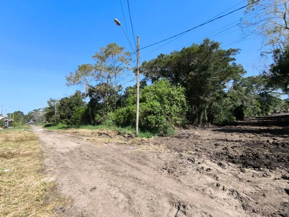 Terreno, 300 m² - Foto 1