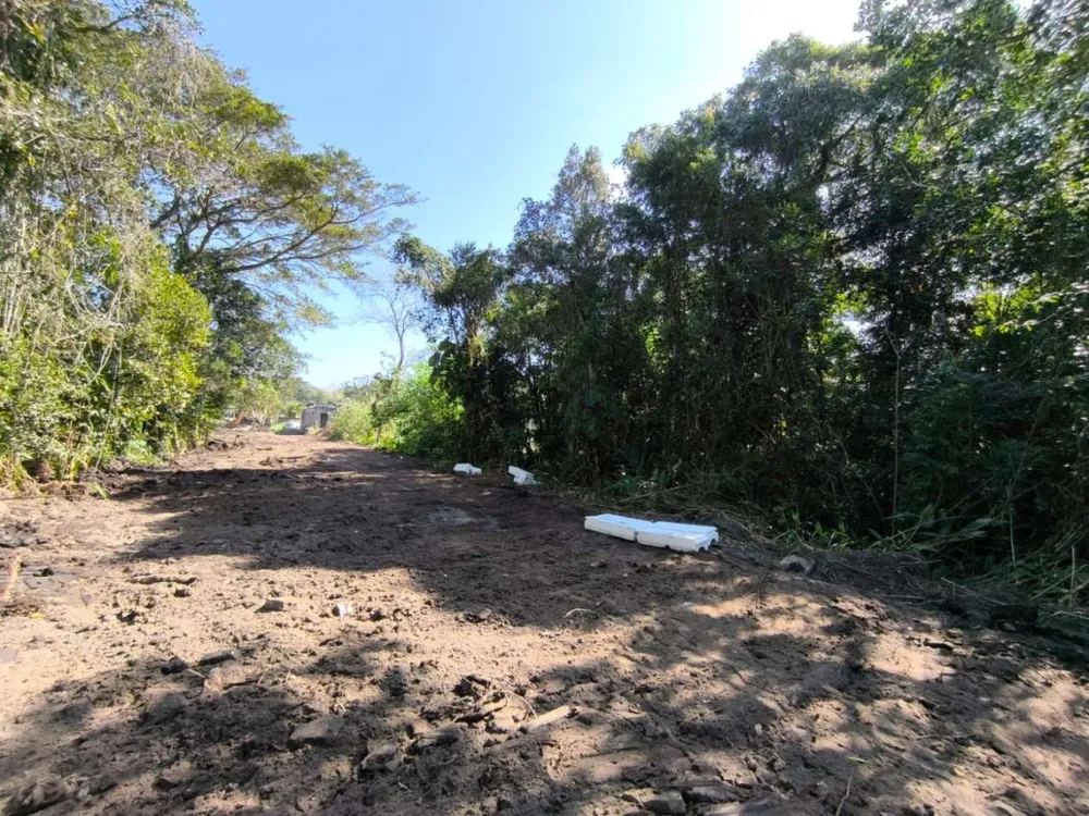 Terreno, 300 m² - Foto 1