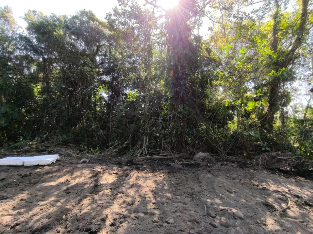 Terreno, 300 m² - Foto 2