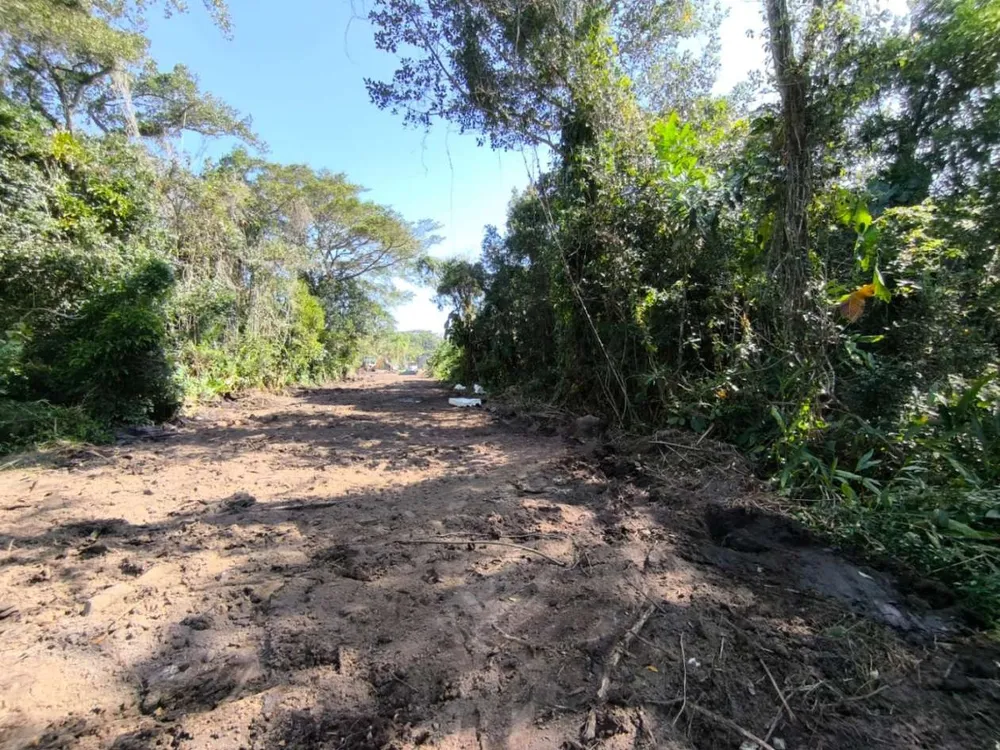 Terreno, 300 m² - Foto 3