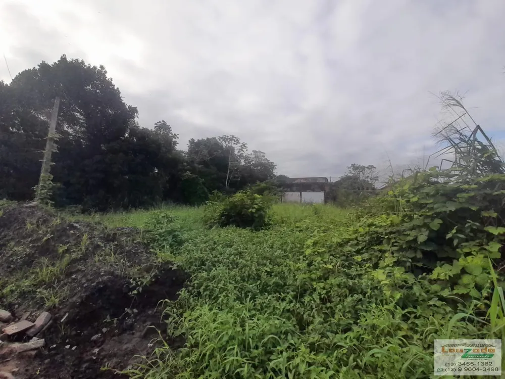 Terreno, 250 m² - Foto 3