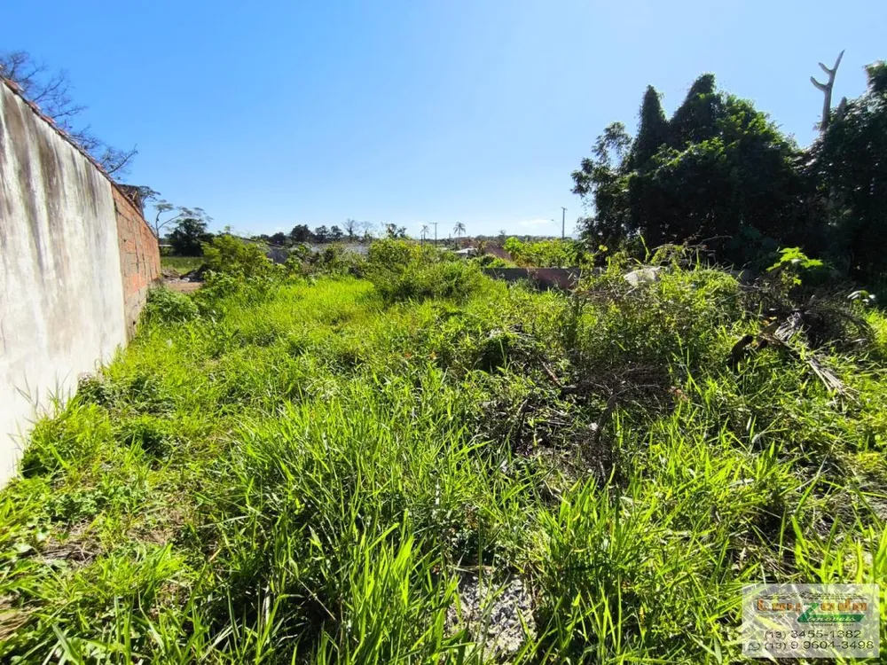 Terreno, 300 m² - Foto 4