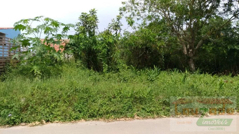 Terreno, 300 m² - Foto 4