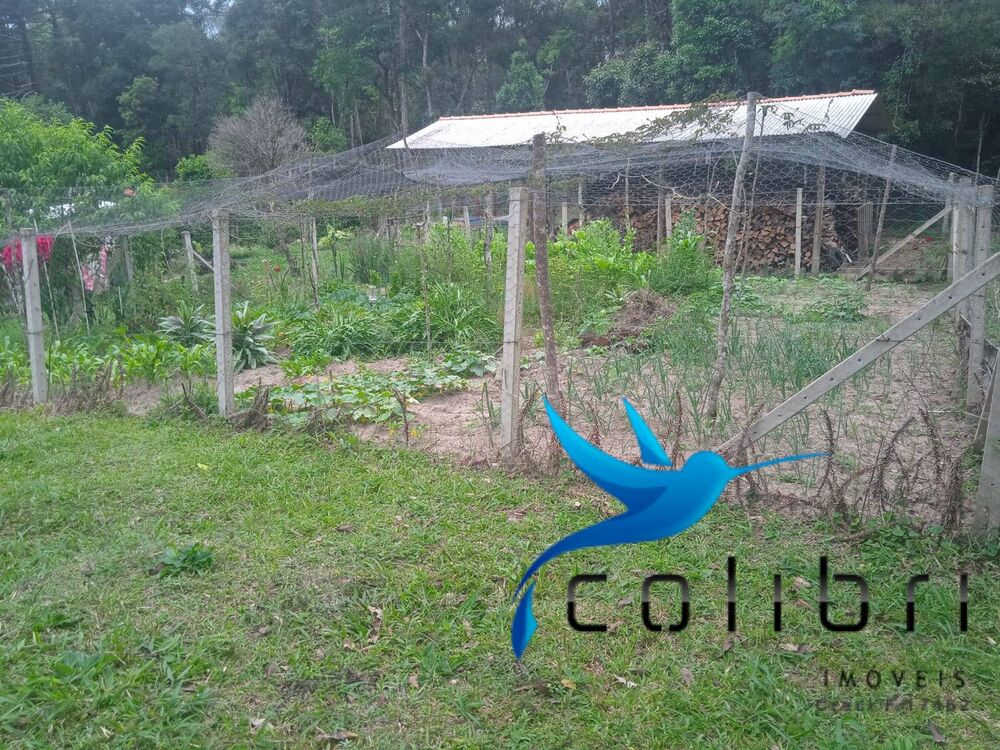 Chácara, 4 quartos, 1 hectares - Foto 4