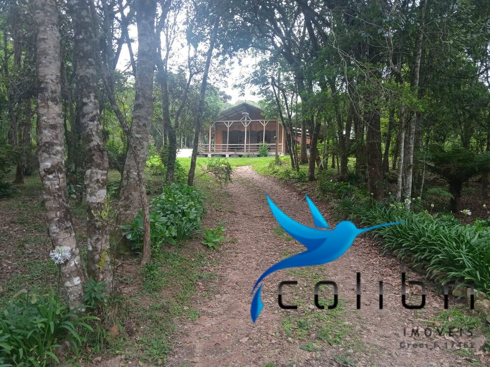 Chácara, 4 quartos, 1 hectares - Foto 5