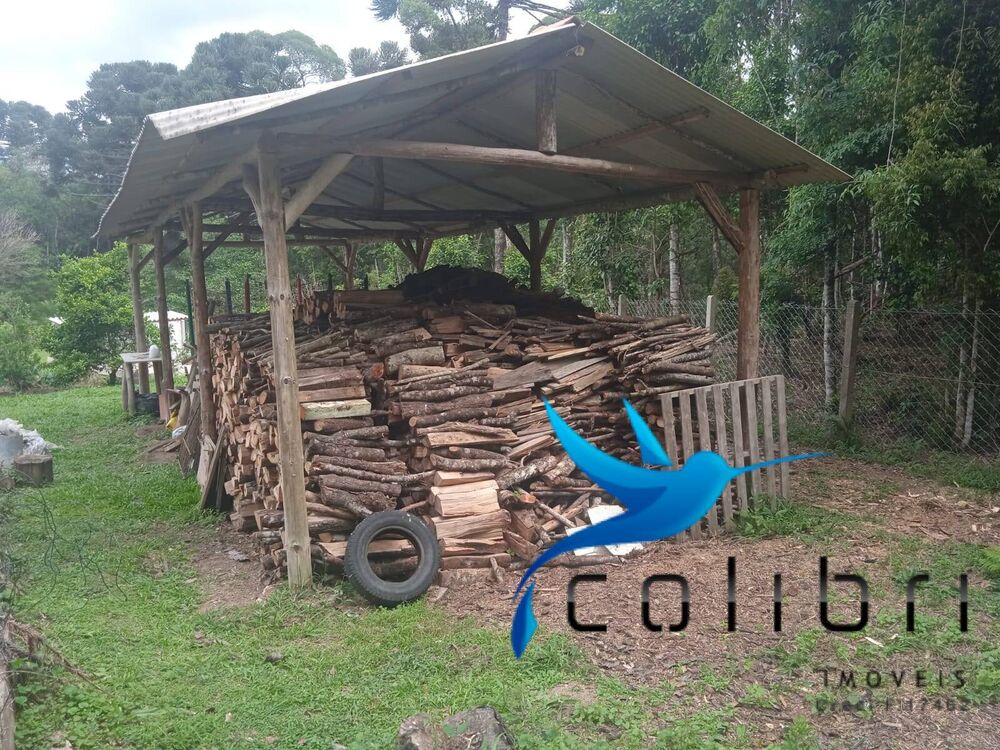 Chácara, 4 quartos, 1 hectares - Foto 7