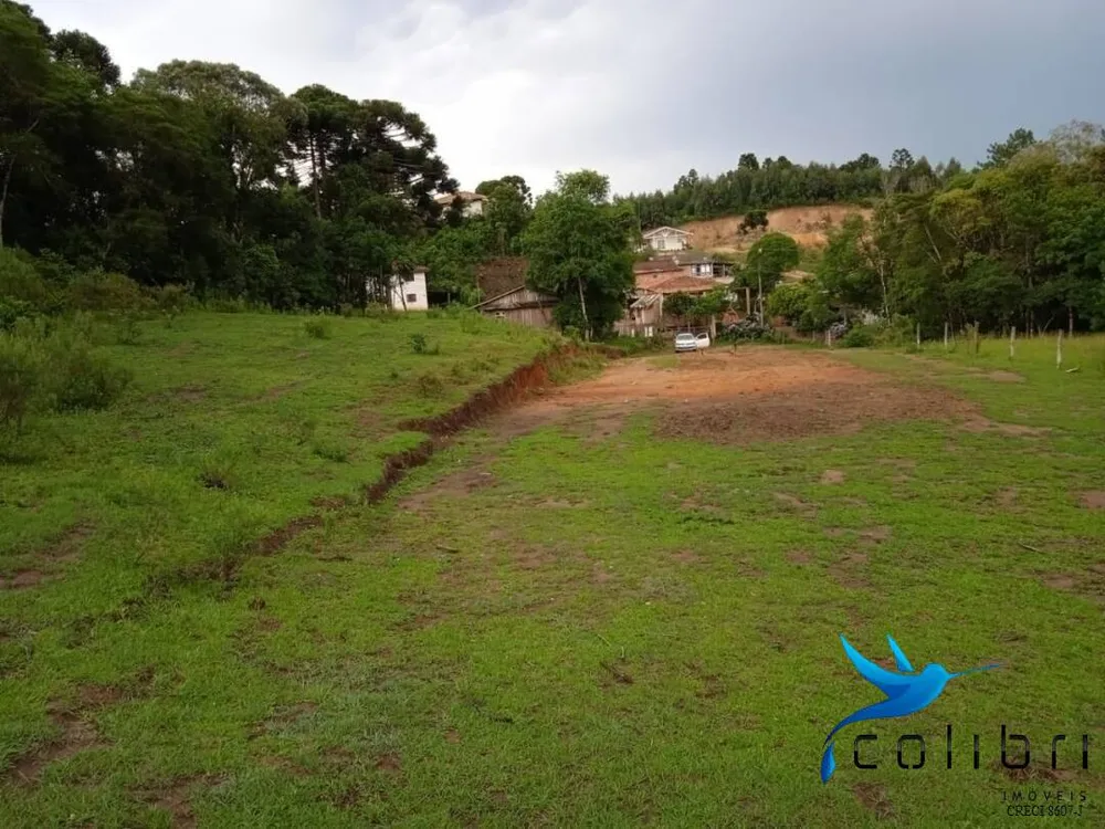 Terreno, 3785 m² - Foto 6