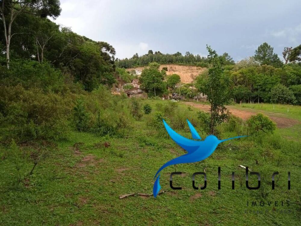 Terreno, 3785 m² - Foto 5