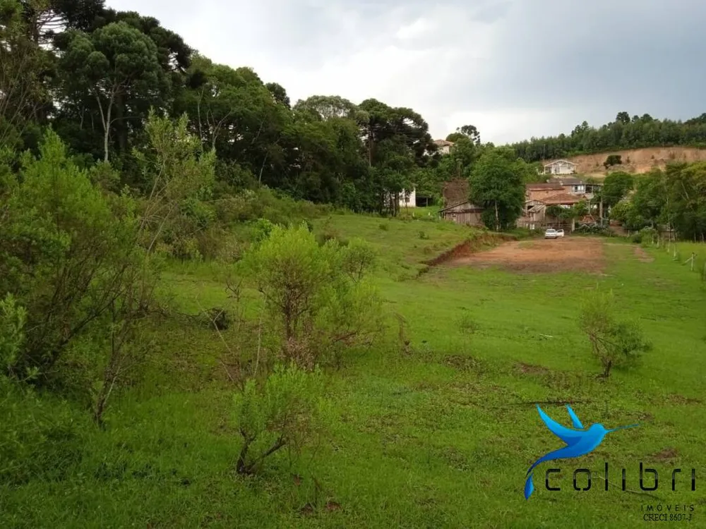 Terreno, 3785 m² - Foto 11