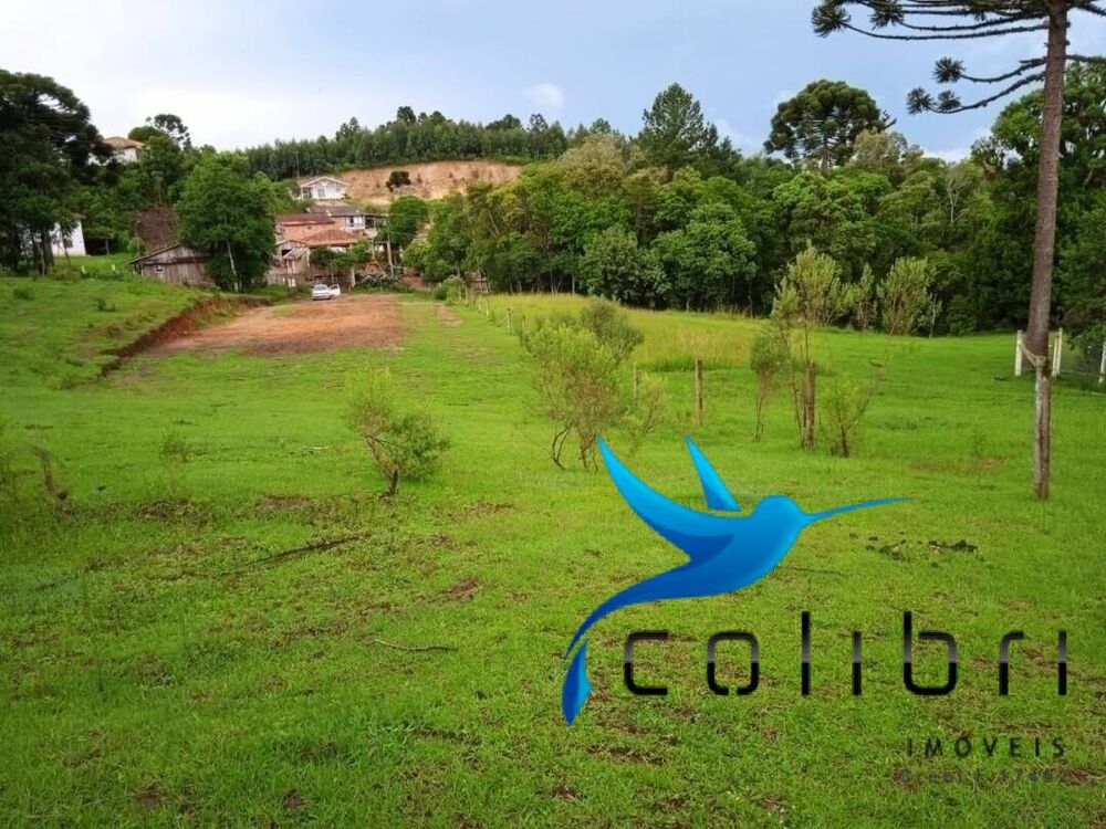 Terreno, 3785 m² - Foto 6