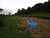 Terreno, 3785 m² - Foto 3