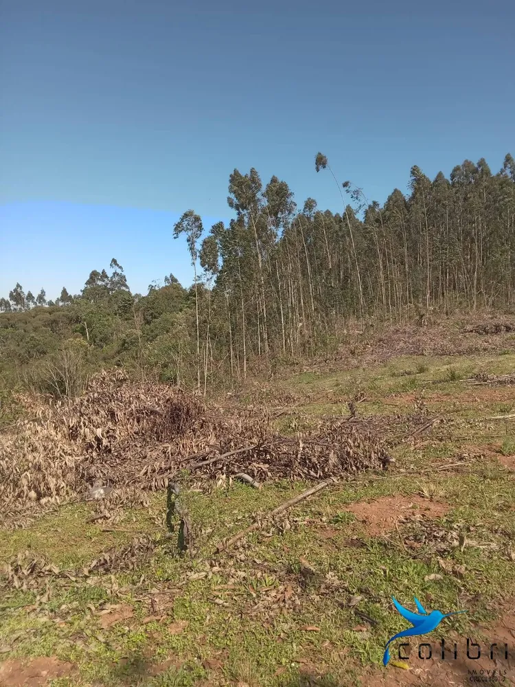 Terreno, 5 hectares - Foto 6