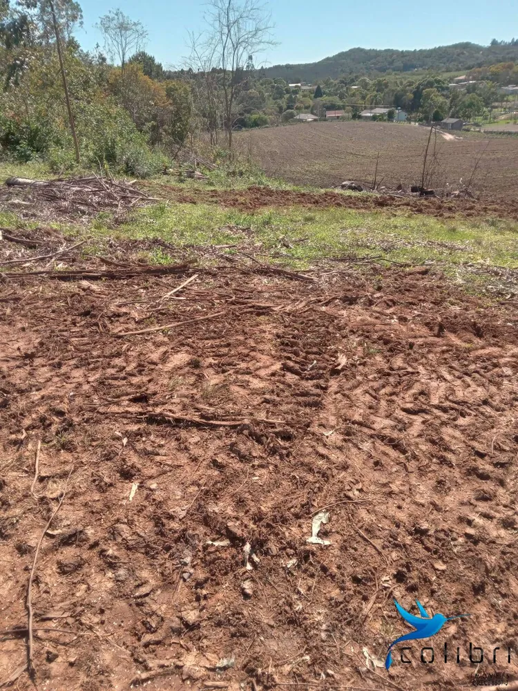 Terreno, 5 hectares - Foto 3