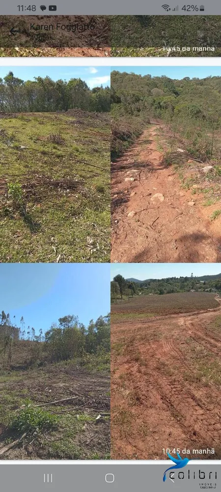 Terreno, 5 hectares - Foto 9