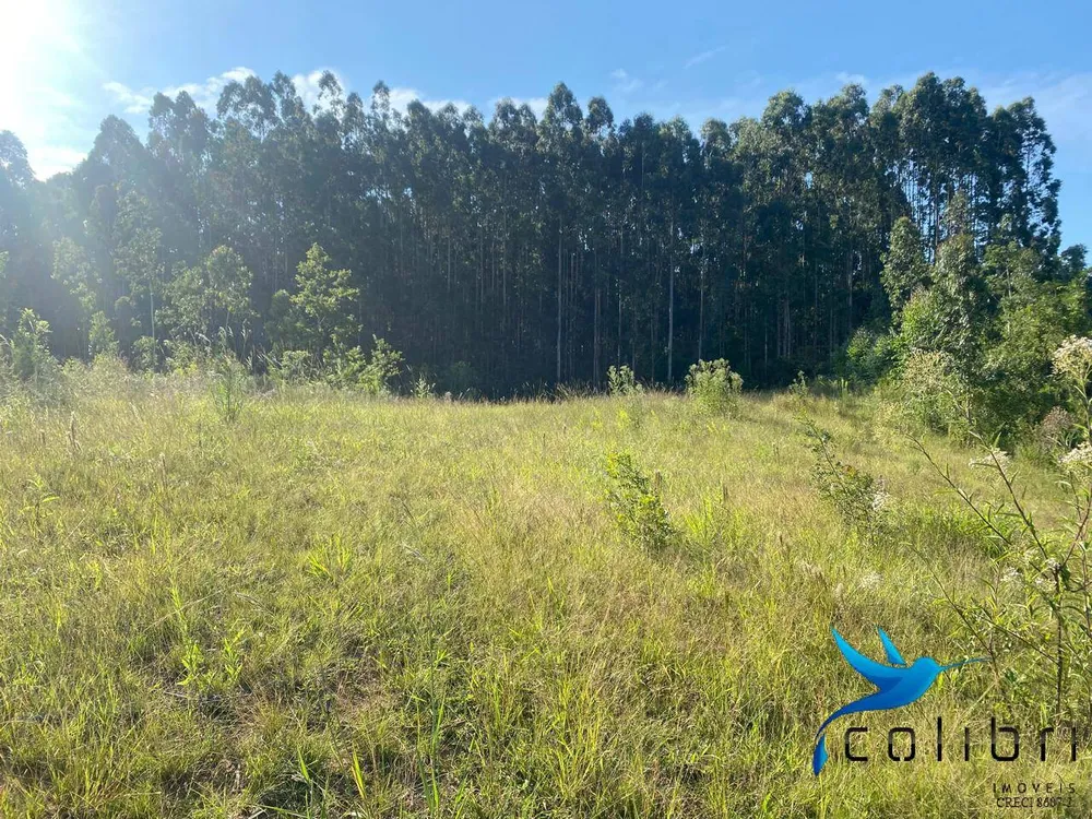 Terreno, 5 hectares - Foto 10