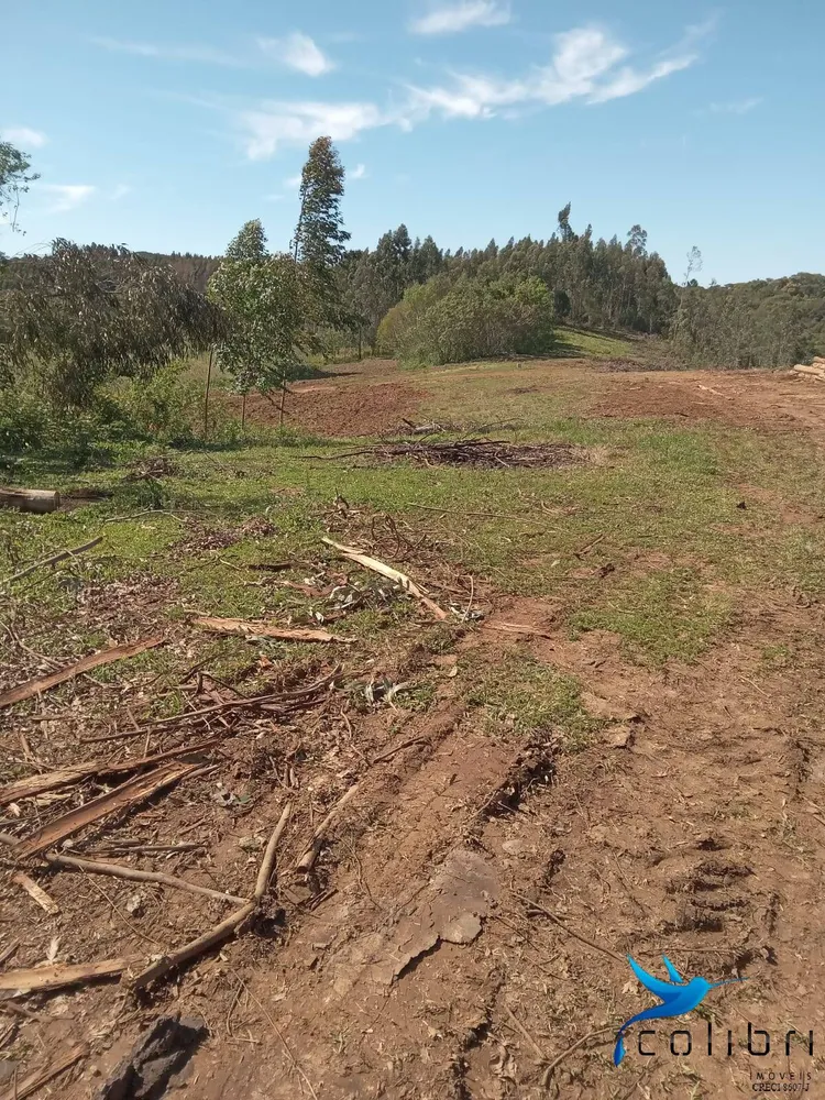 Terreno, 5 hectares - Foto 4