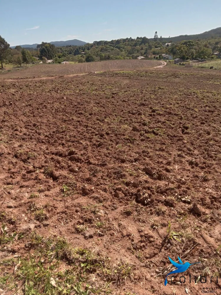 Terreno, 5 hectares - Foto 5