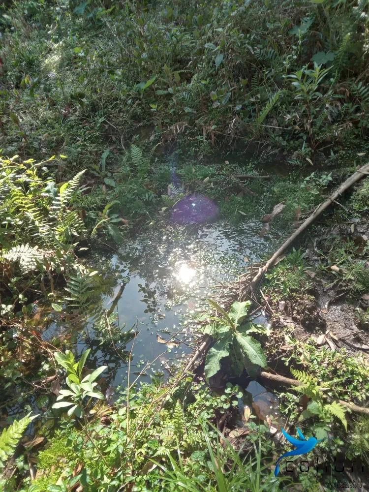 Terreno, 5 hectares - Foto 7