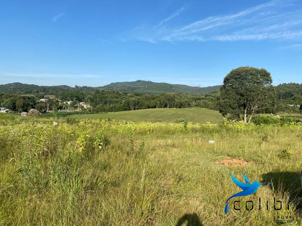Terreno, 5 hectares - Foto 11