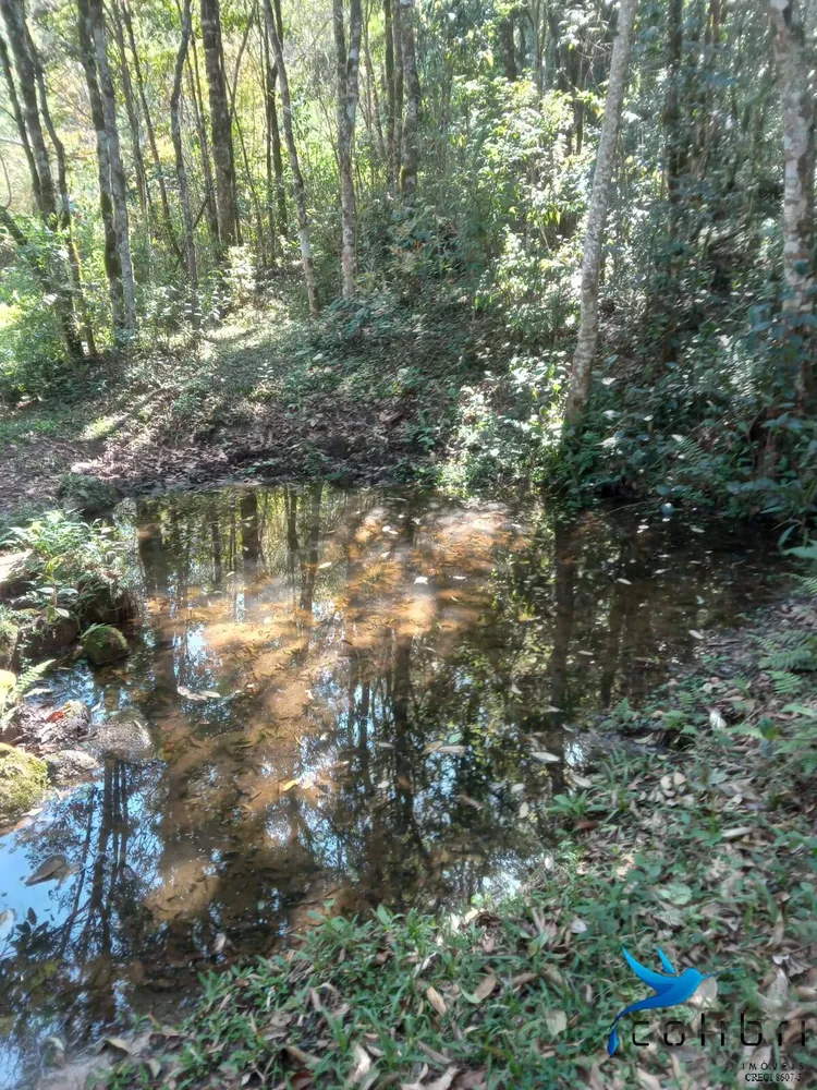 Terreno, 5 hectares - Foto 8