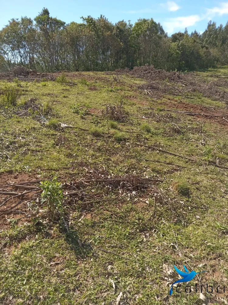 Terreno, 5 hectares - Foto 2