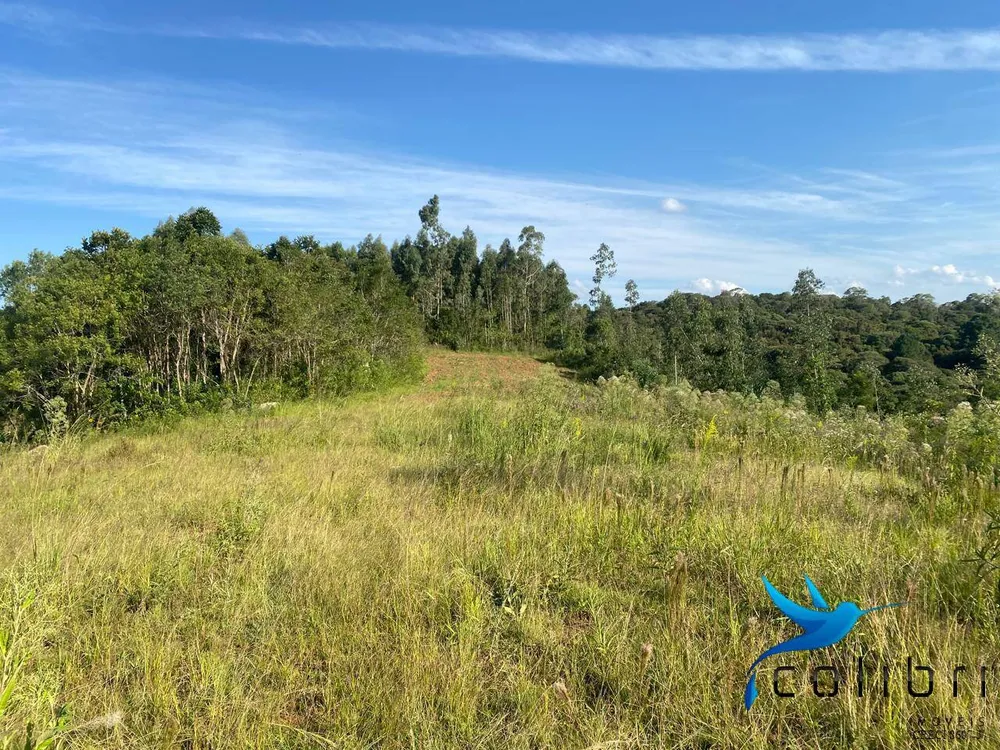 Terreno, 5 hectares - Foto 12