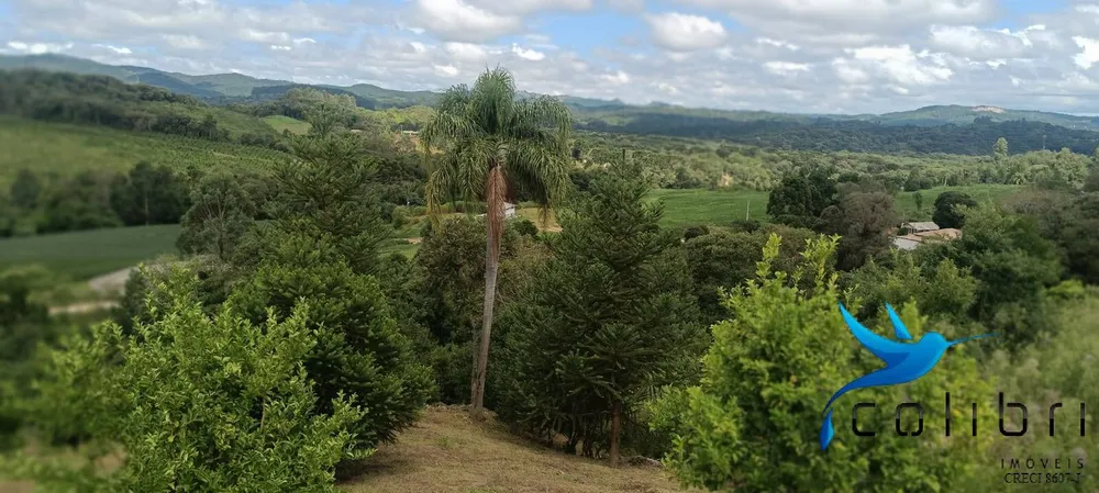 Sítio, 1 quarto, 22 hectares - Foto 12