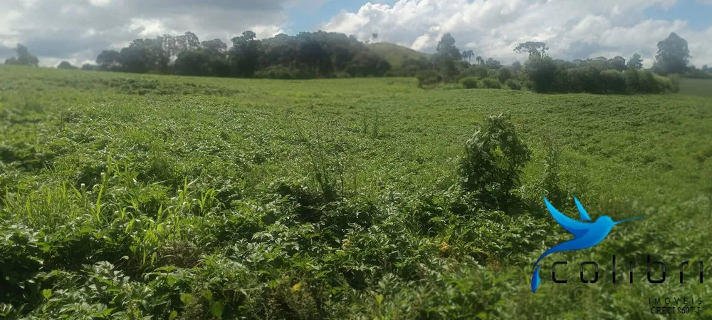 Sítio, 1 quarto, 22 hectares - Foto 1