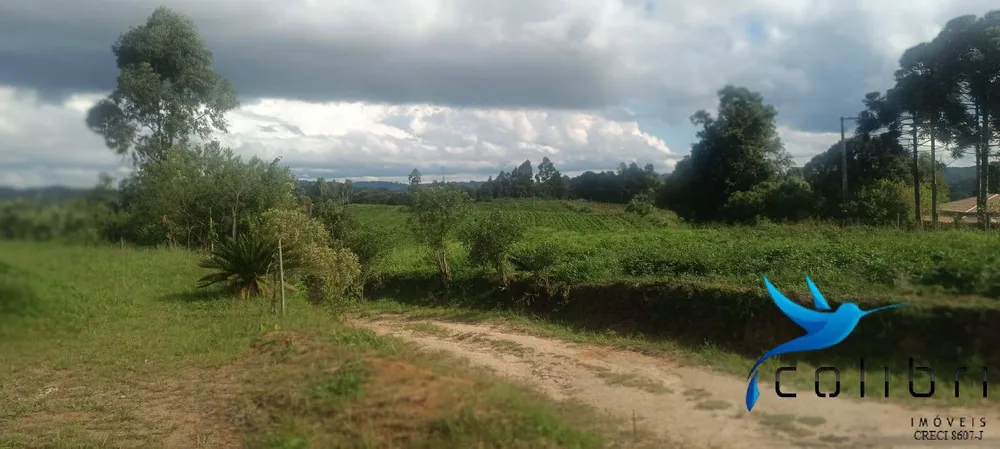 Sítio, 1 quarto, 22 hectares - Foto 5