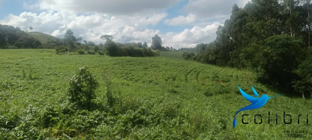 Sítio, 1 quarto, 22 hectares - Foto 6