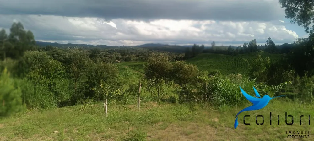 Sítio, 1 quarto, 22 hectares - Foto 3