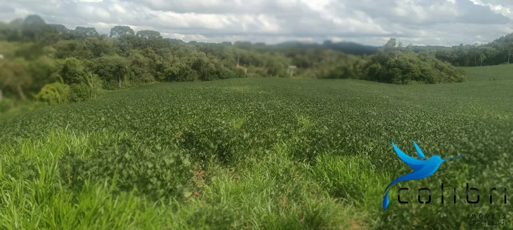 Sítio, 1 quarto, 22 hectares - Foto 7