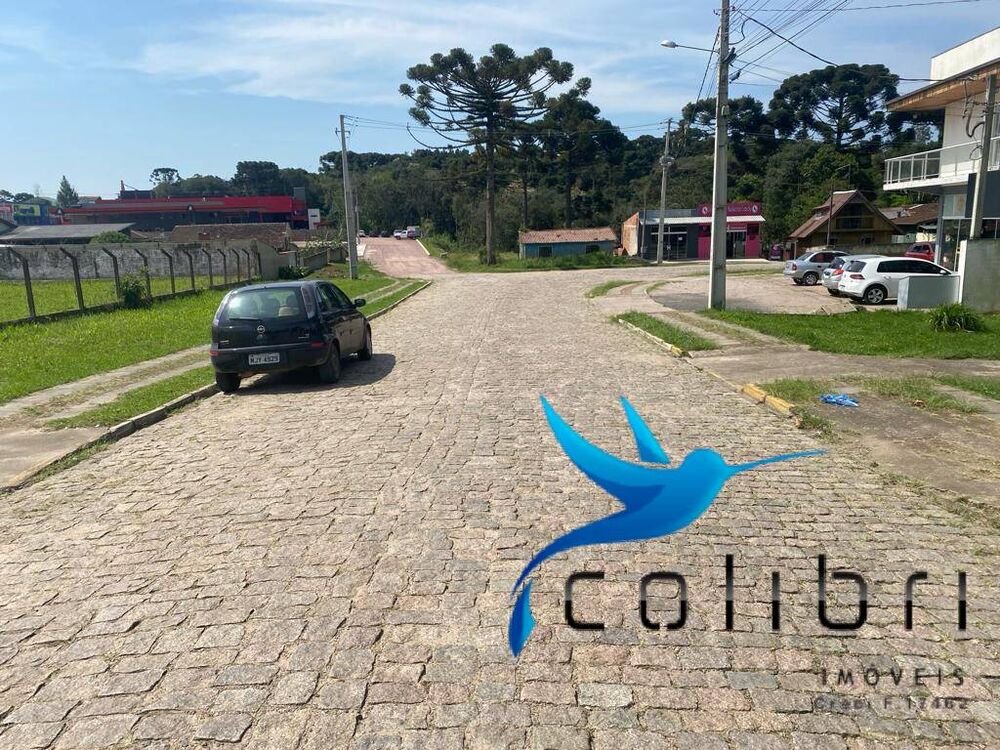 Casa, 3 quartos, 693 m² - Foto 2