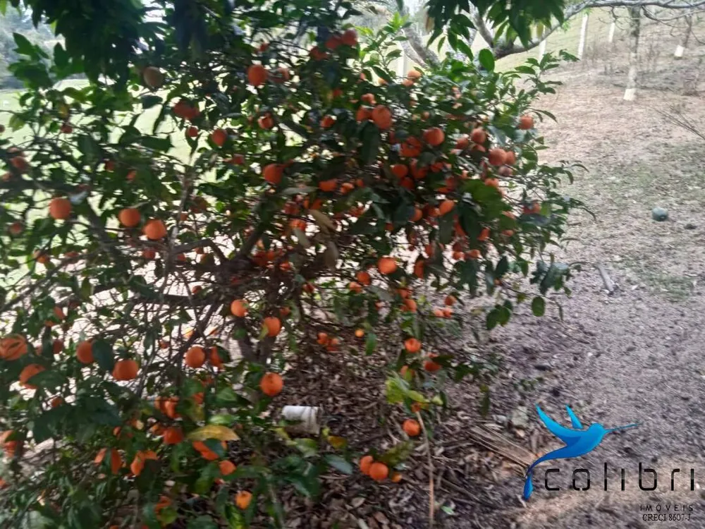 Chácara, 3 quartos, 3 hectares - Foto 16