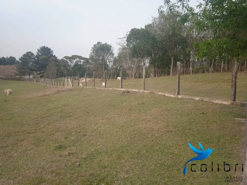 Chácara, 3 quartos, 3 hectares - Foto 14