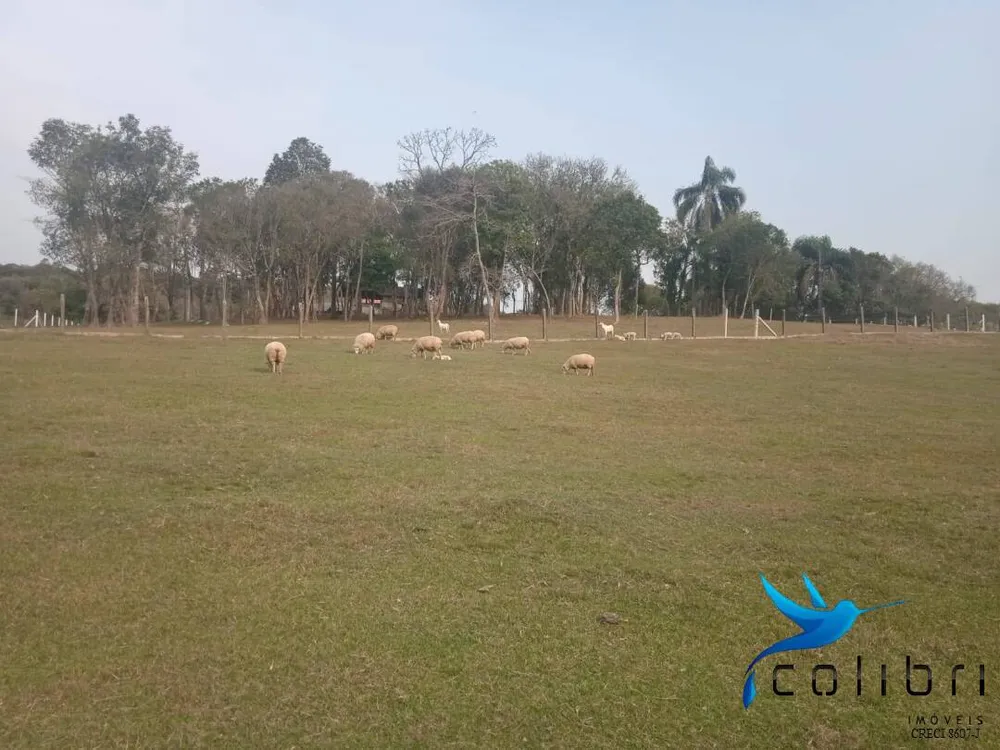 Chácara, 3 quartos, 3 hectares - Foto 12