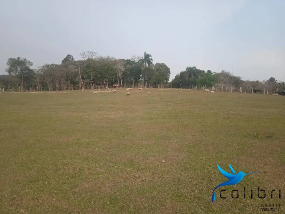 Chácara, 3 quartos, 3 hectares - Foto 10