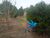 Chácara, 3 quartos, 3 hectares - Foto 8