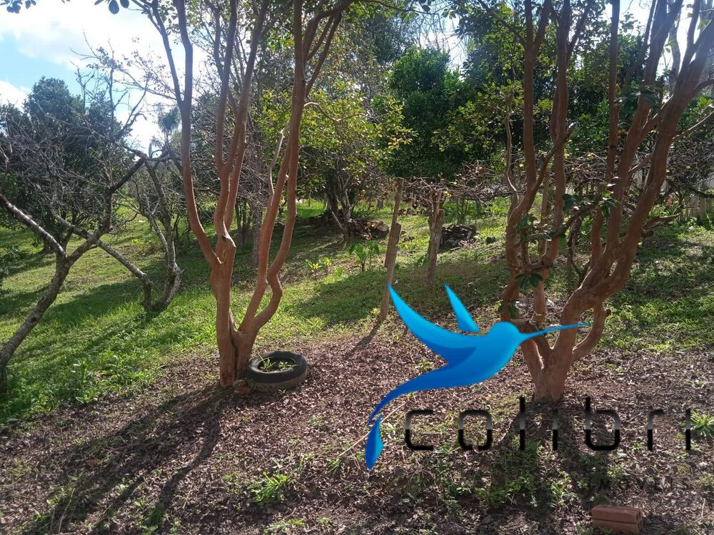 Chácara, 1 quarto, 1 hectares - Foto 9