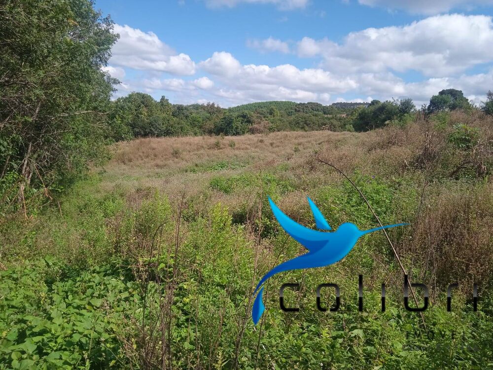 Chácara, 1 quarto, 1 hectares - Foto 11